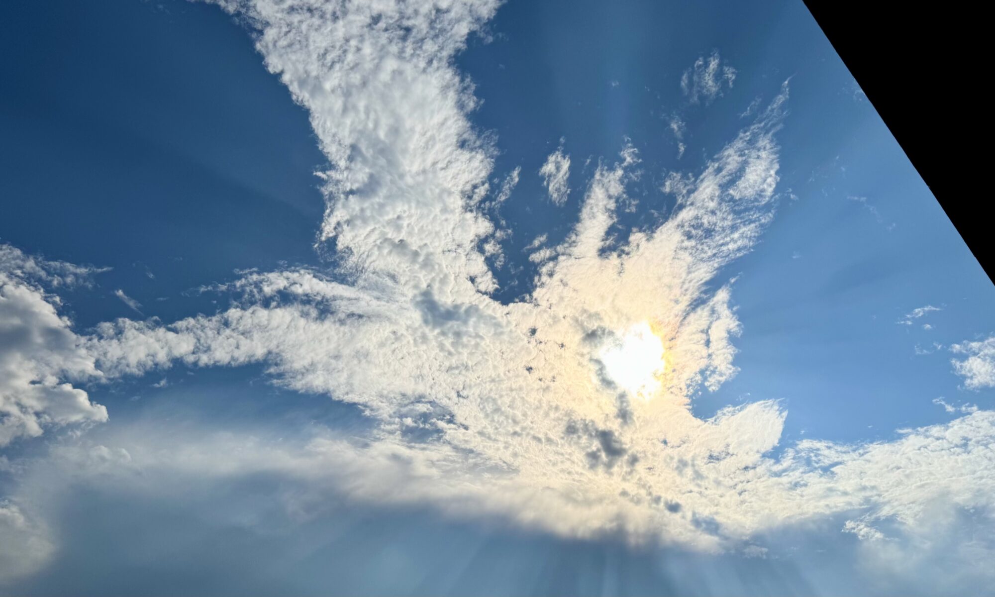 鳳凰のような雲
